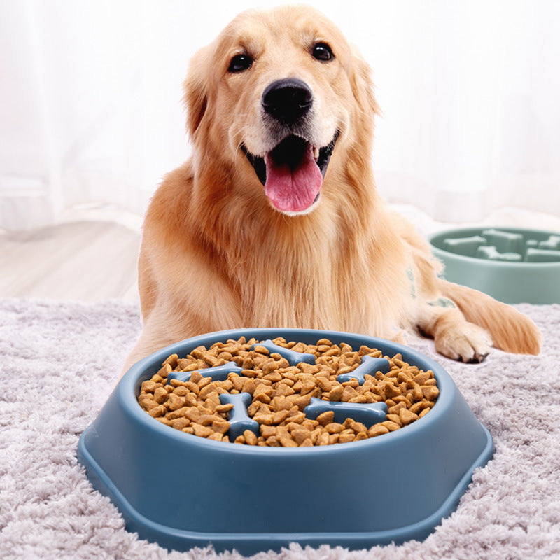 Gamelle Anti-Glouton pour Chien - Forme Os