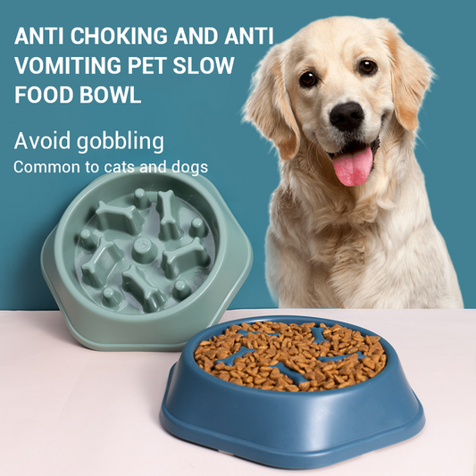 Gamelle Anti-Glouton pour Chien - Forme Os