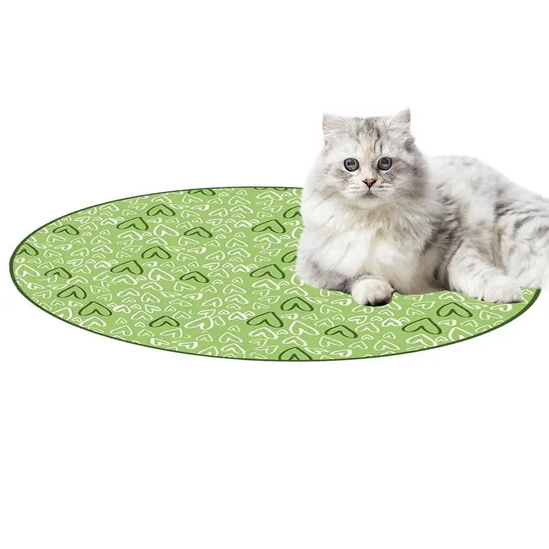 Jouet Interactif de Chasse pour Chat - Mouvement Automatique