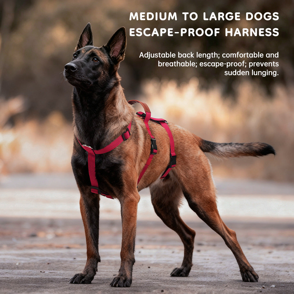 Harnais Tactique Anti-Traction pour Grand Chien — Confort et Sécurité"