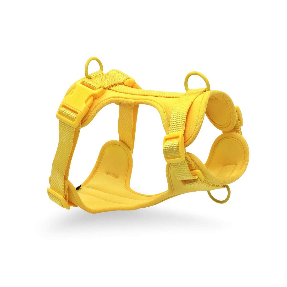 Set Laisse Collier Harnais Waterproof pour Chien - Anti-Traction