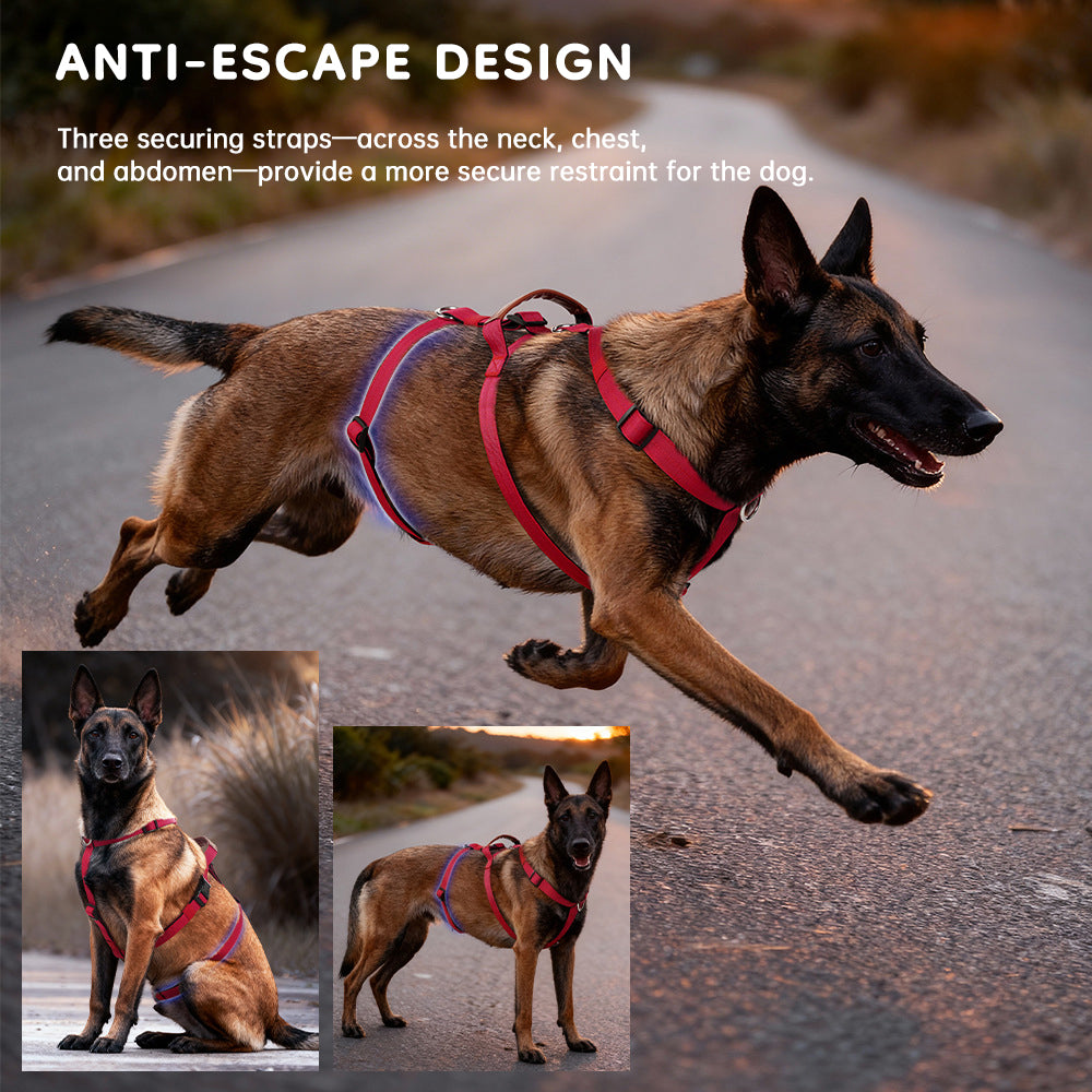 Harnais Tactique Anti-Traction pour Grand Chien — Confort et Sécurité"