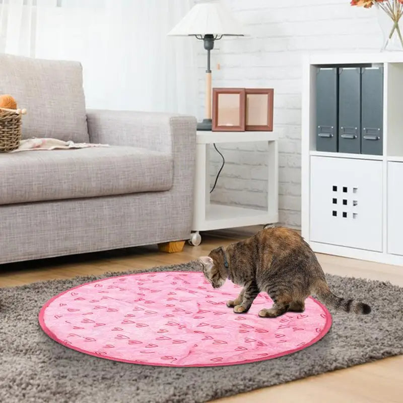 Jouet Interactif de Chasse pour Chat - Mouvement Automatique