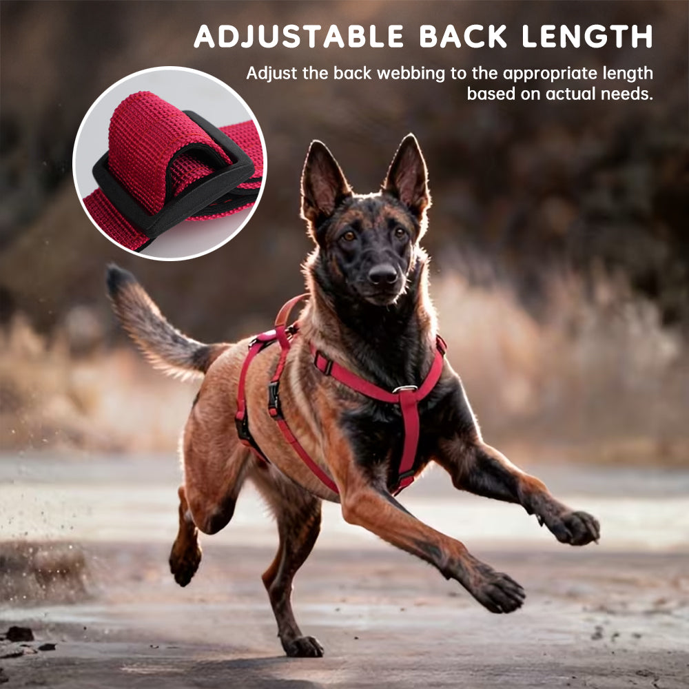 Harnais Tactique Anti-Traction pour Grand Chien — Confort et Sécurité"